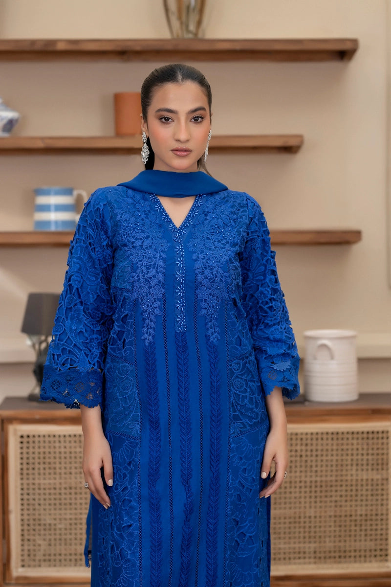 Maria B Inspired Ladies Blue Chikan Kari Mummy & Me Eid Outfit