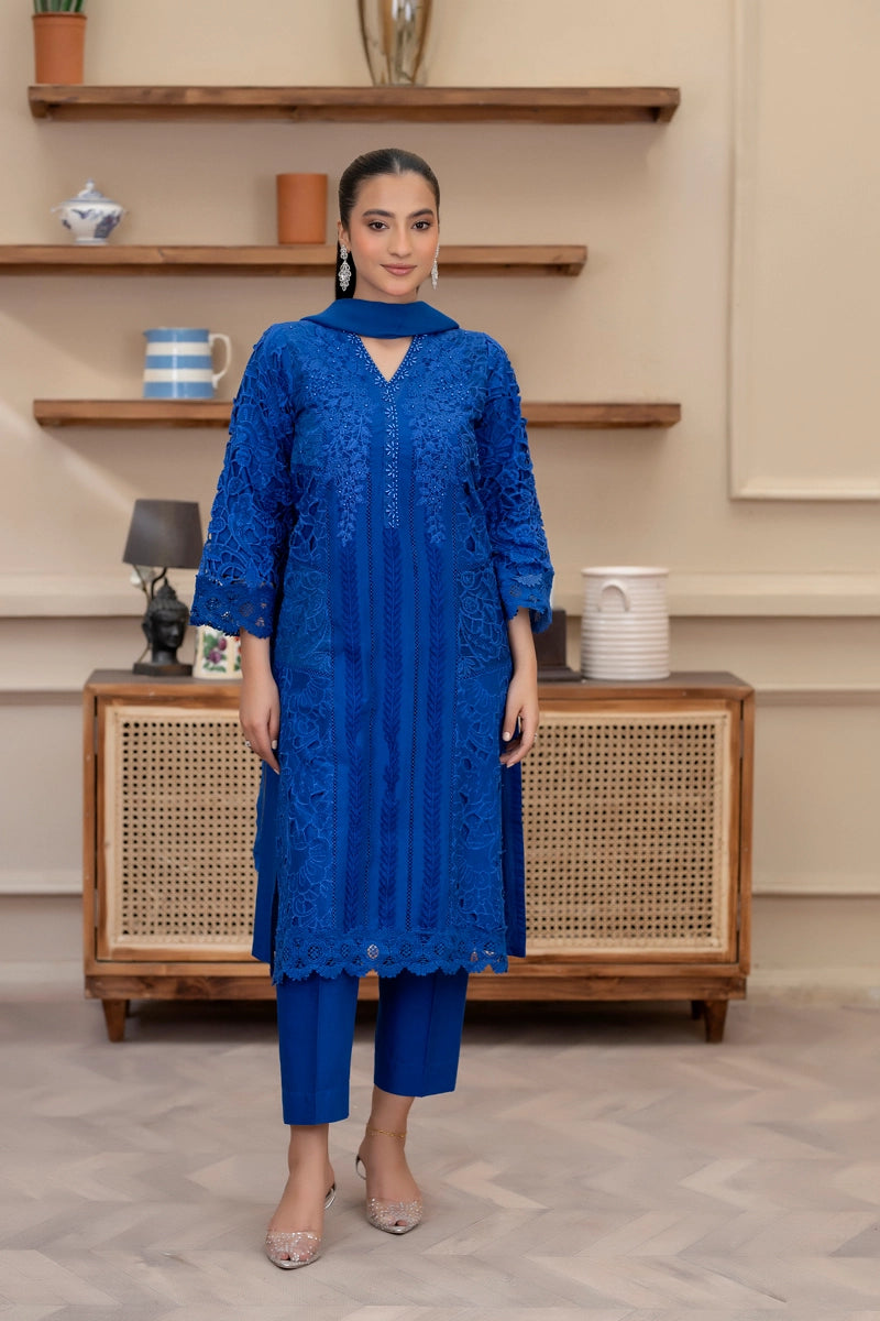 Maria B Inspired Ladies Blue Chikan Kari Mummy & Me Eid Outfit