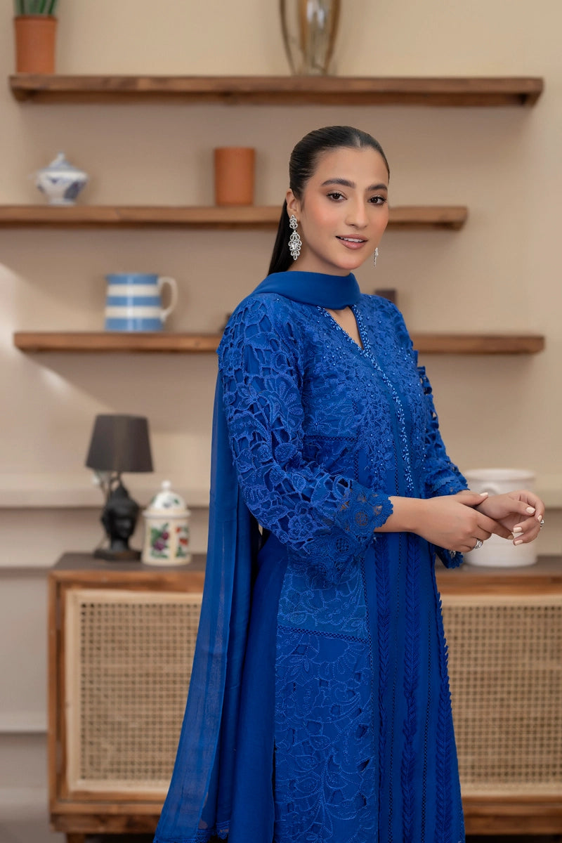 Maria B Inspired Ladies Blue Chikan Kari Mummy & Me Eid Outfit