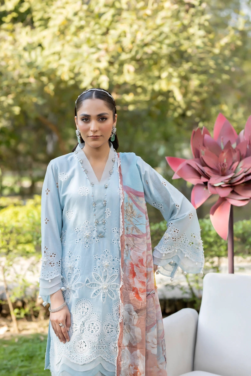 Ivana Luxury Sky Blue Chikan Kari Embroidered Desi Eid Outfit SIG11