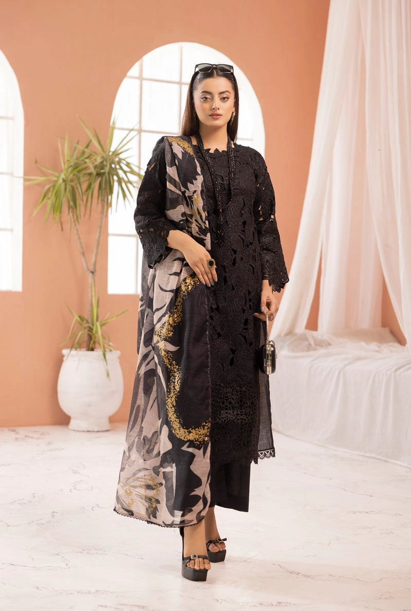 Rang Rasiya Alaya Inspired Embroidered Black 3 Piece Outfit