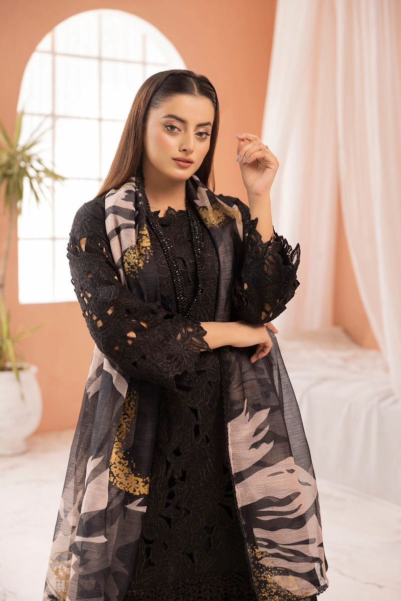 Rang Rasiya Alaya Inspired Embroidered Black 3 Piece Outfit