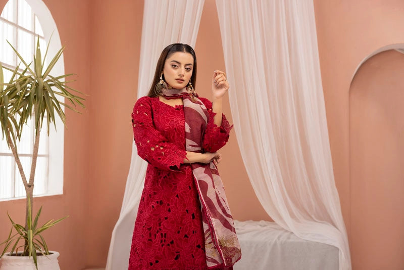 Rang Rasiya Alaya Inspired Embroidered Red 3 Piece Outfit