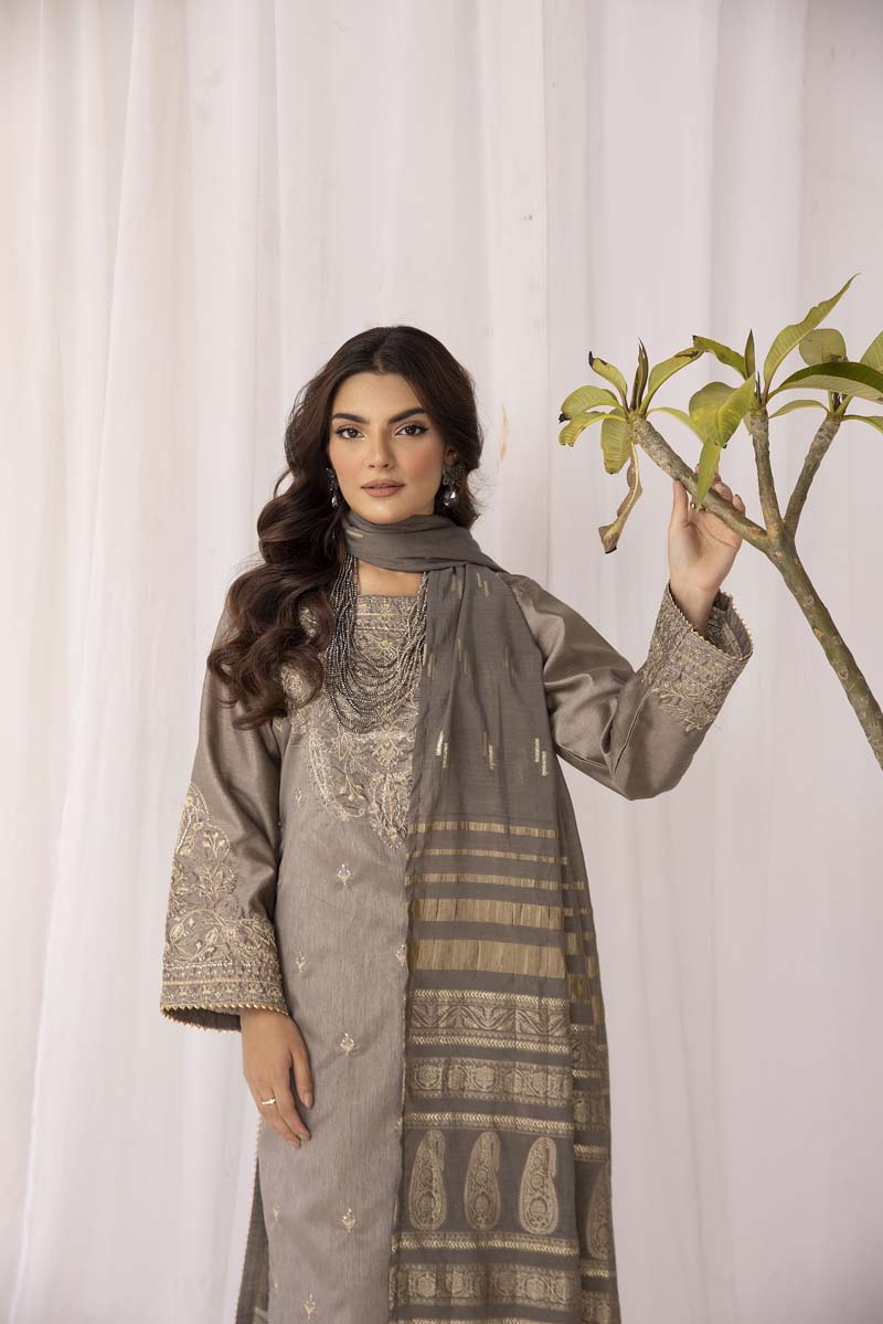 Hussain Rehar inspired Raw Silk 3 Piece Metallic Eid Outfit AR3195 - Desi Posh