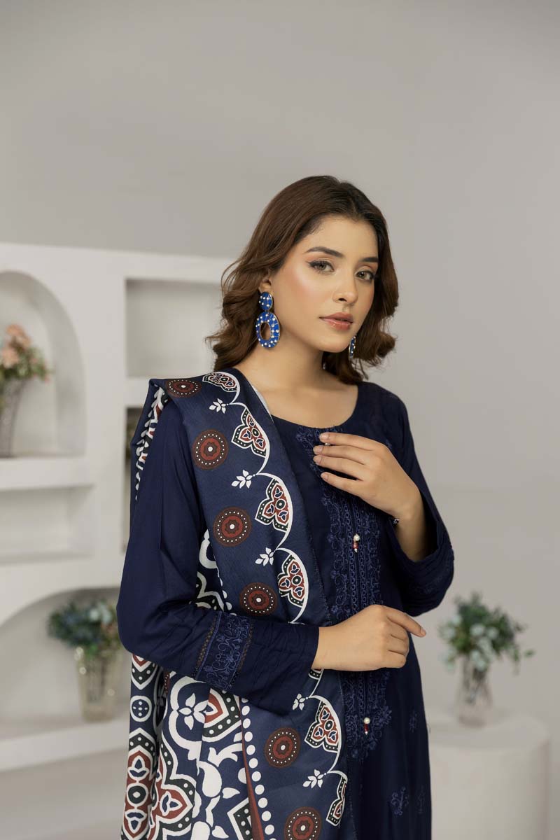 Simrans 3 Piece Chikan Kari Linen Suit with Ajrak Shawl DG23