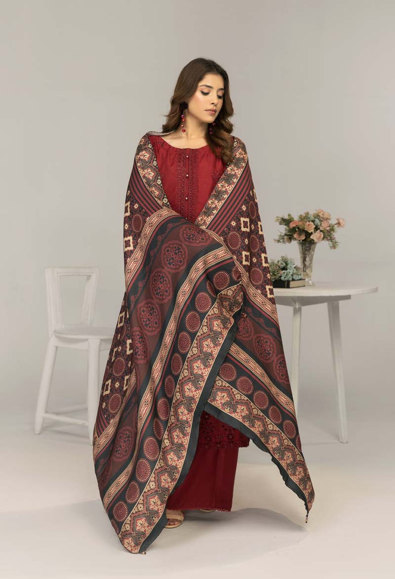 Simrans 3 Piece Chikan Kari Linen Suit with Ajrak Shawl DG22