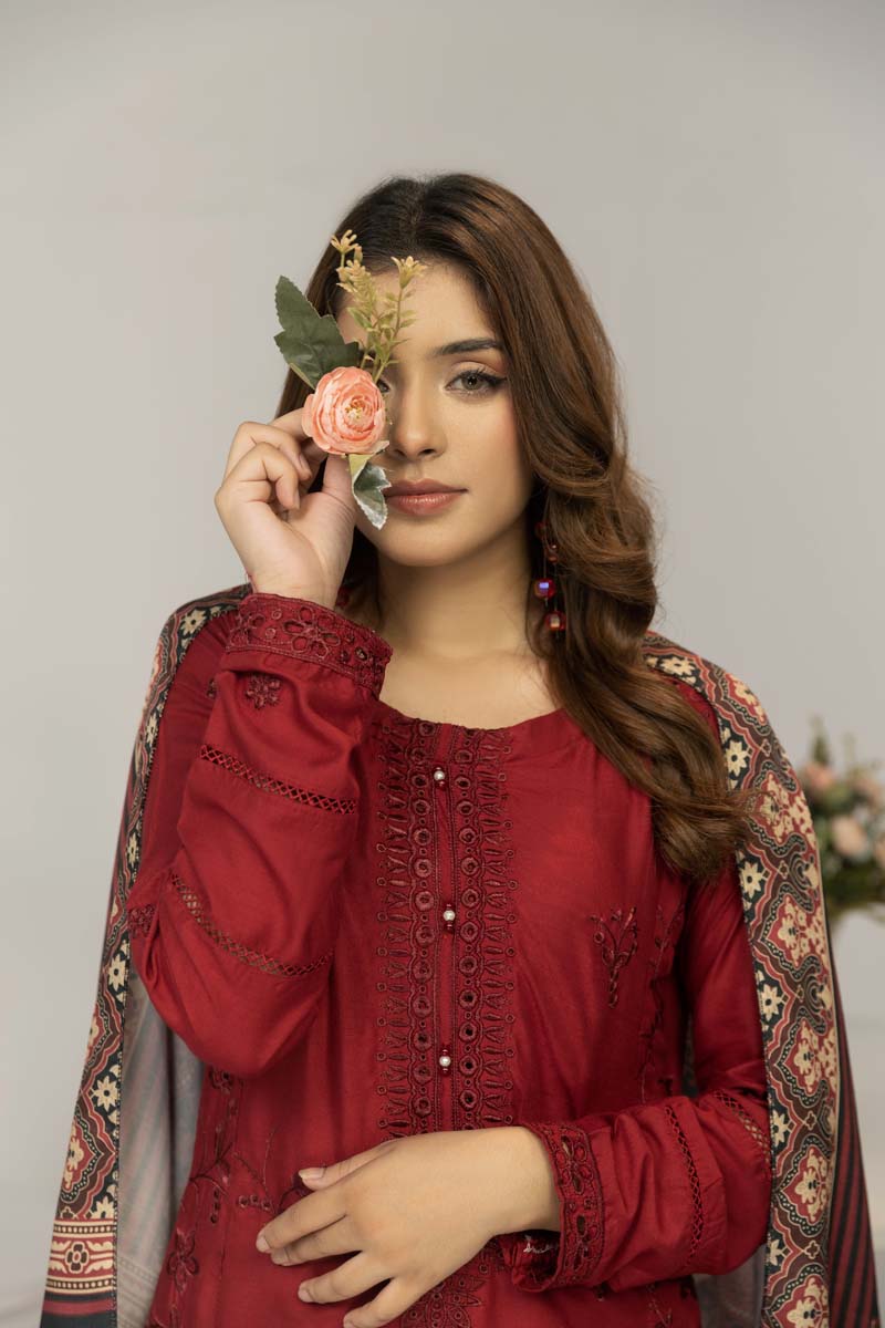 Simrans 3 Piece Chikan Kari Linen Suit with Ajrak Shawl DG22