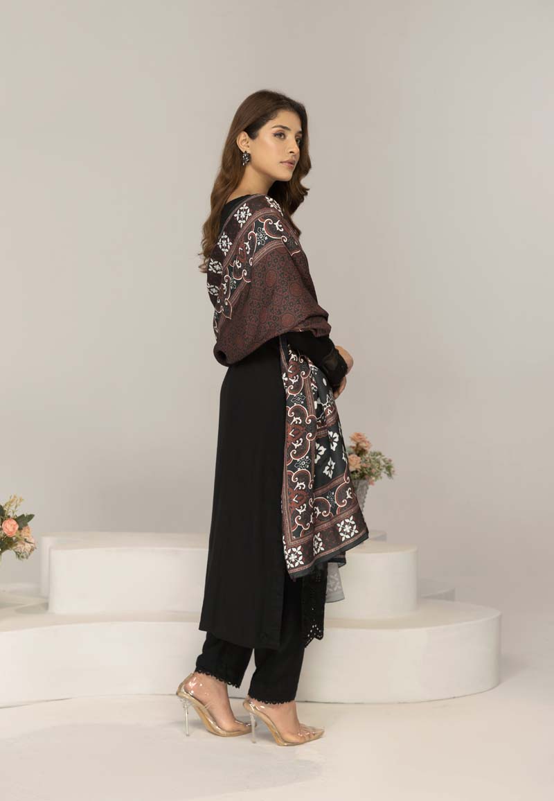 Simrans 3 Piece Chikan Kari Linen Suit with Ajrak Shawl DG21