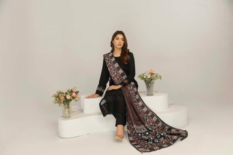 Simrans 3 Piece Chikan Kari Linen Suit with Ajrak Shawl DG21